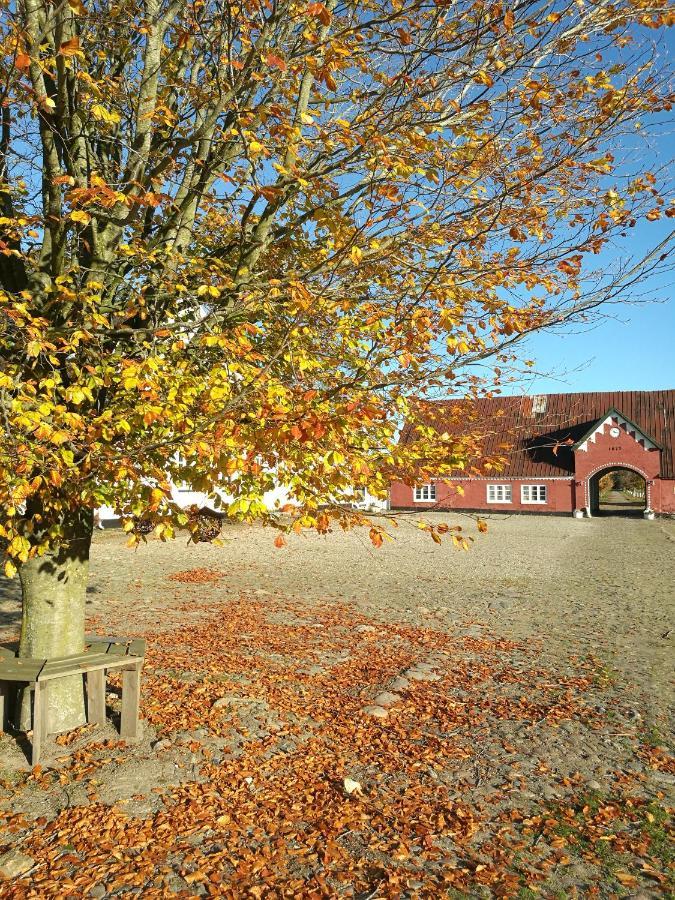 Holtegaard Bed & Breakfast Dronninglund Exterior photo
